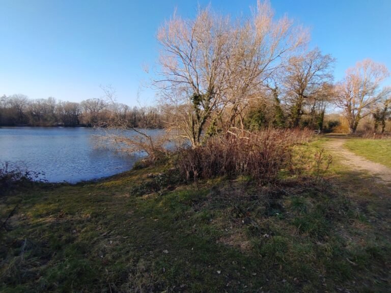 Cycle Blackwater Valley from Swan Lake 1 768x576