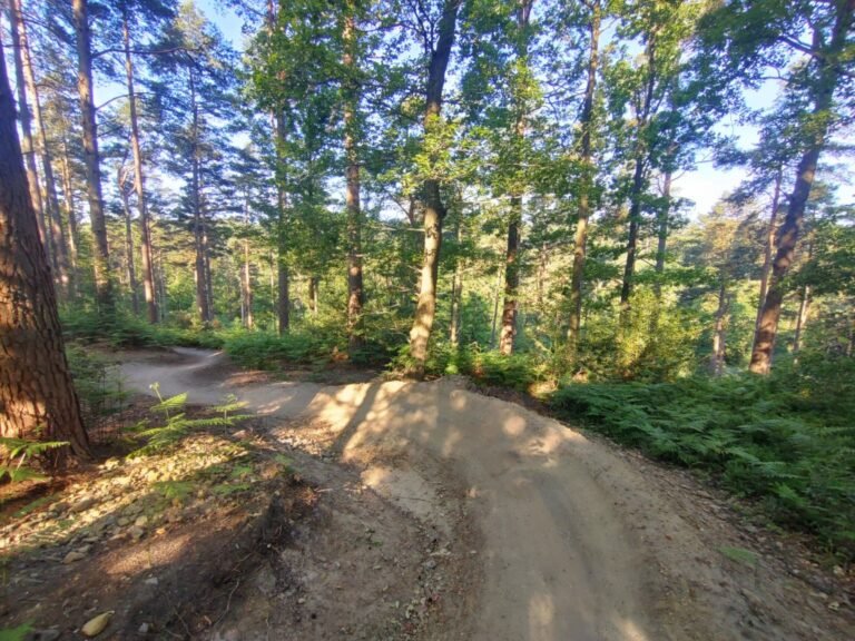 Cycle The Hurtwood from Peaslake 1 768x576