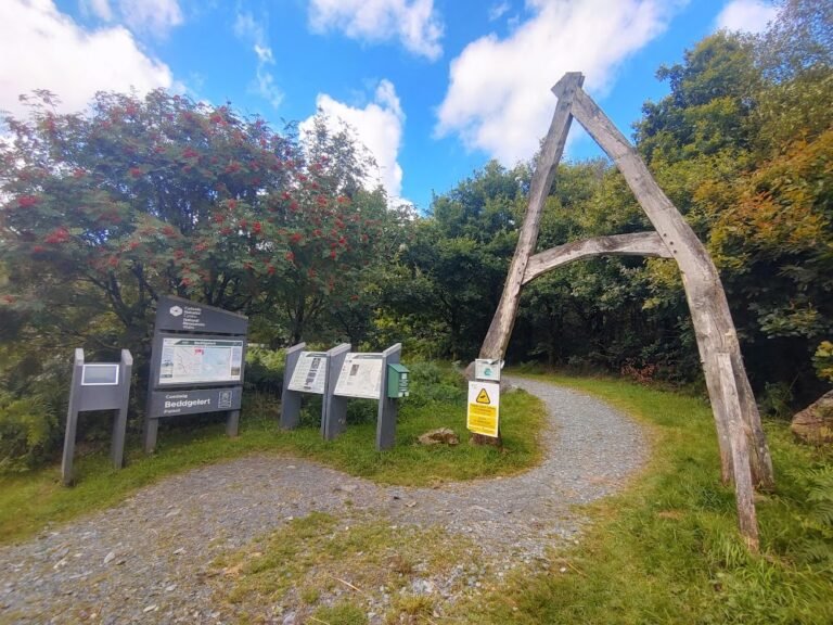 Cycle at Beddgelert Forest 1 768x576