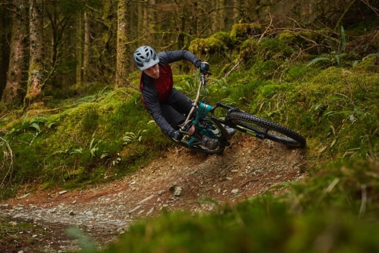 Cycle at Coed y Brenin Forest Park Mountain Bike Wales 768x512