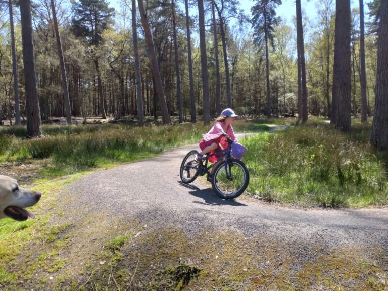 Cycle at Hartland Country Park 1 768x576