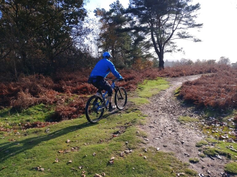 Cycle at Hindhead Common Mountain biker 1 scaled 768x576