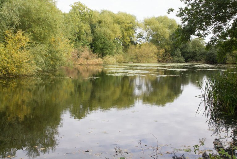 Cycle at Kingsbury Country Parkk David P Howard 768x518