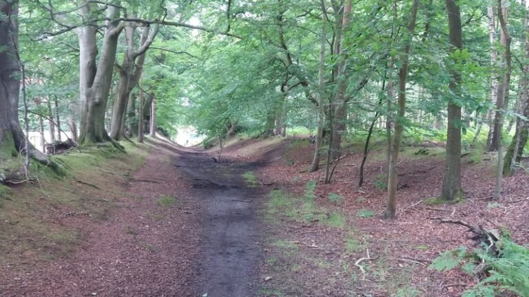 Cycle at Minley Manor 768x432