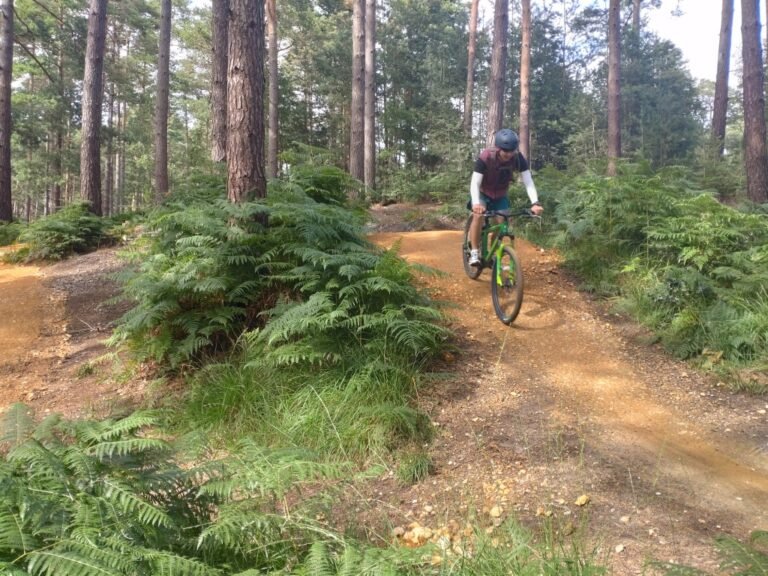 Cycle at Swinley Forest 1 768x576