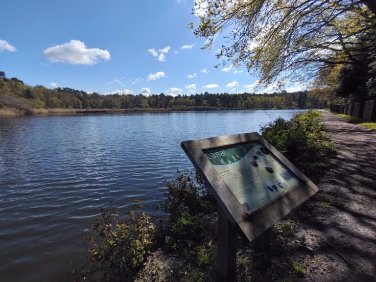 Cycle the Basingstoke Canal from Ash Vale 1 scaled 768x576