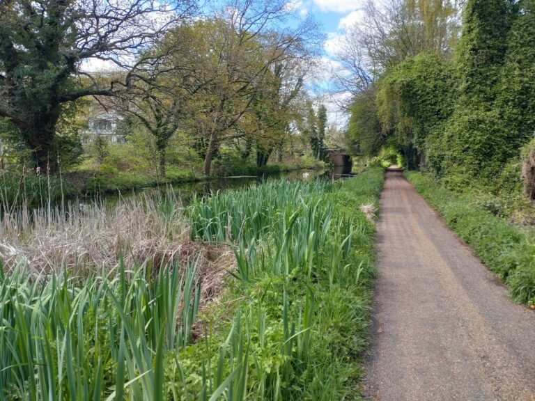 Cycle the Basingstoke Canal from St Johns 1 scaled 768x576