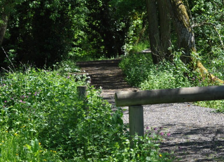 Cycle the Birmingham Canal from Kingsbury Geograph John Carver 768x556