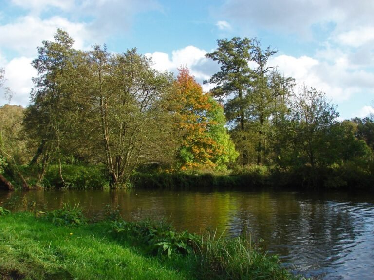 Cycle the River and Downs from Guildford Geograph Alan Hunt 768x576