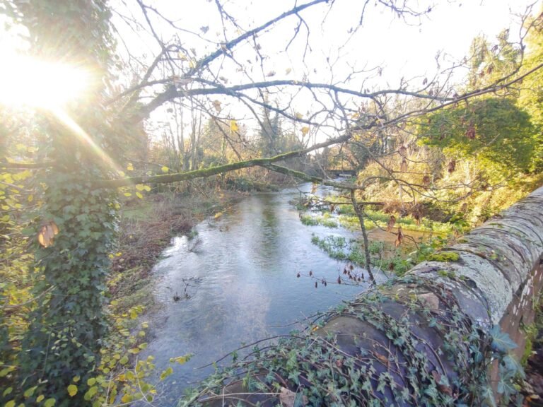 Cycle the Test Way from Horsebridge 1 scaled 768x576