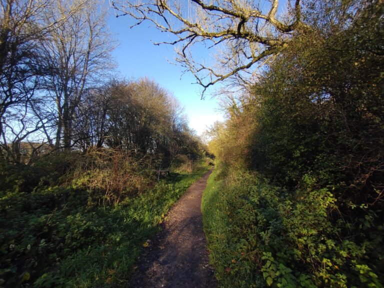 Cycle the Test Way from Mottisfont 1 scaled 768x576