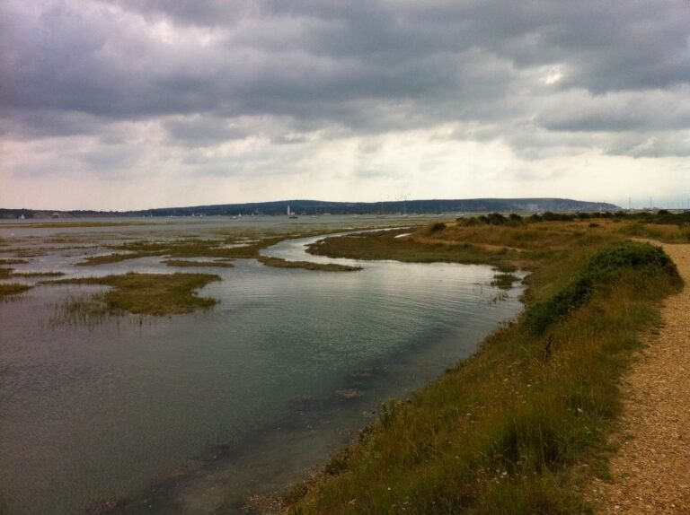 Cycle the coastal paths around Keyhaven Blogspot 768x574