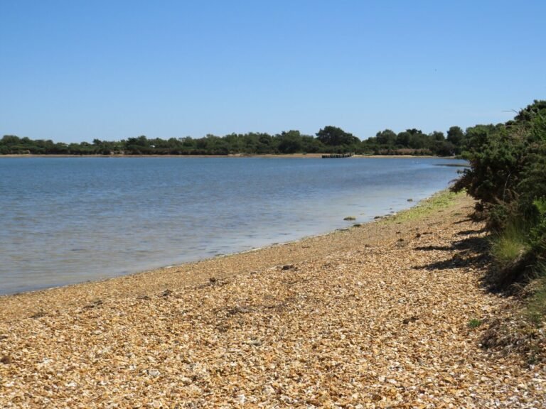 Paddle Poole Harbour from Bramble Bush Bay Geograph Malc McDonald 768x576