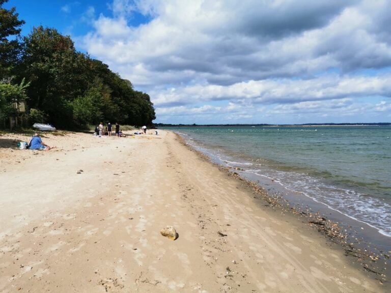 Paddle at Studland Bay Geograph Phil Champion 768x576