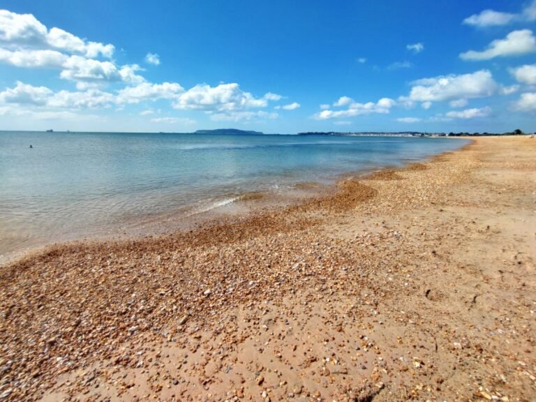 Paddle in Weymouth Bay 1 768x576