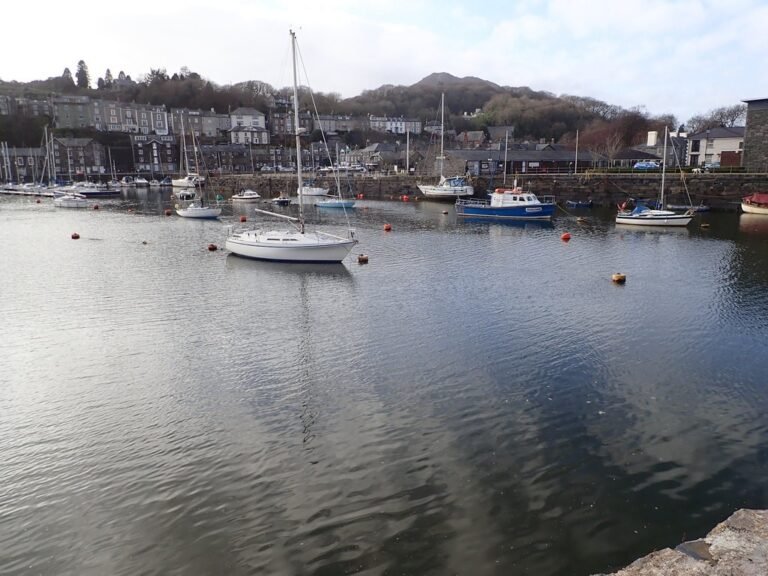 Paddle the Afon Dwyryd from Porthmadog Geograph Eirian Evans 768x576