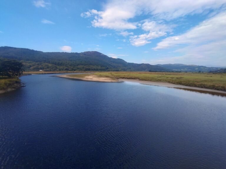 Paddle the Afon Mawddach from Penmaenpool 1 768x576