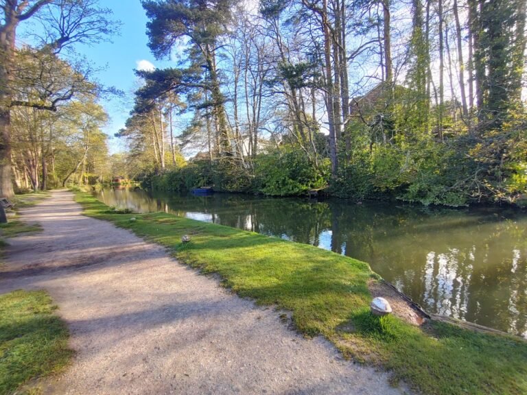 Paddle the Basingstoke Canal at Church Crookham 1 768x576