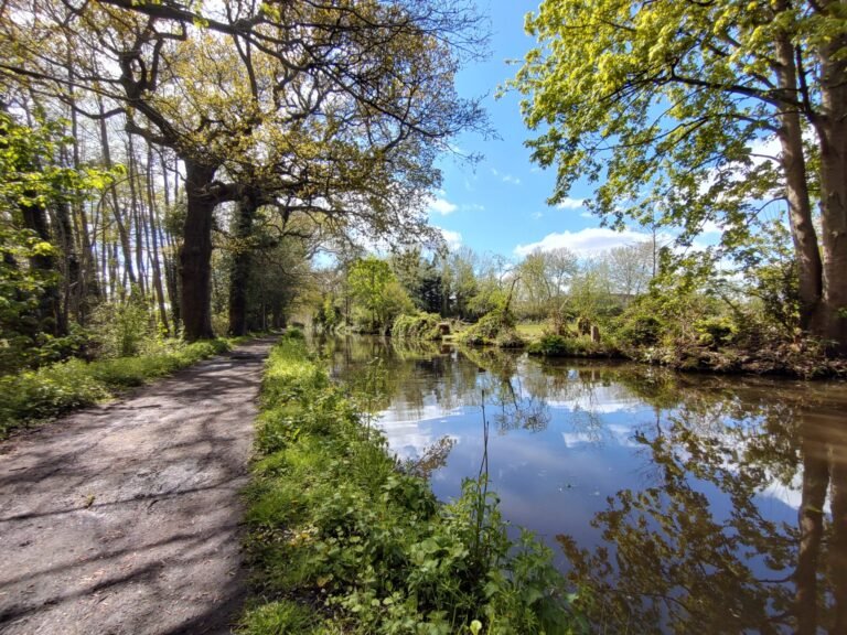 Paddle the Basingstoke Canal from West Byfleet 1 scaled 768x576