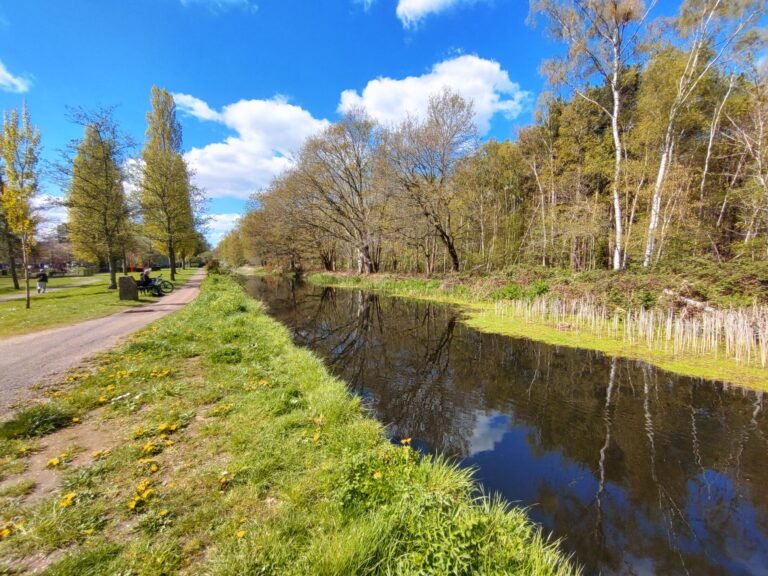 Paddle the Basingstoke Canal from Woking scaled 768x576