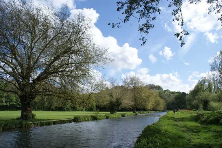 Paddle the Itchen Navigation at Winchester Flickr David Spender 768x514