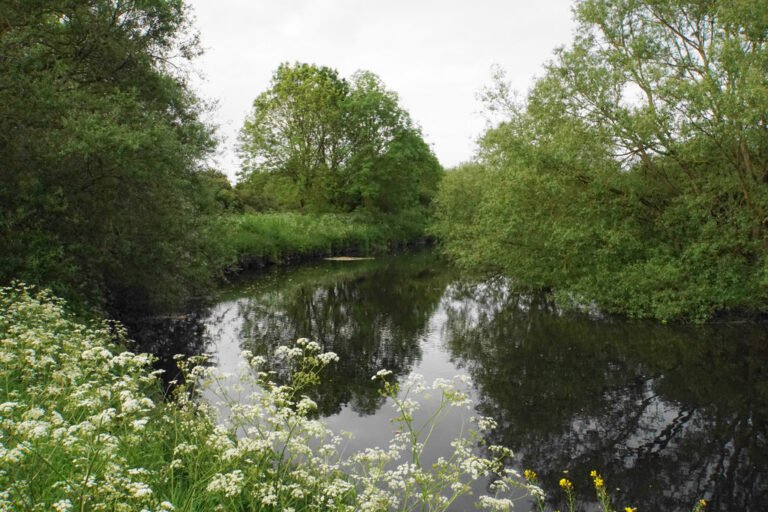 Paddle the River Tame from Coton Bridge Geograph Bill Boarden 768x512