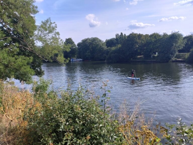 Paddle the Thames at West Molesey 1 768x576