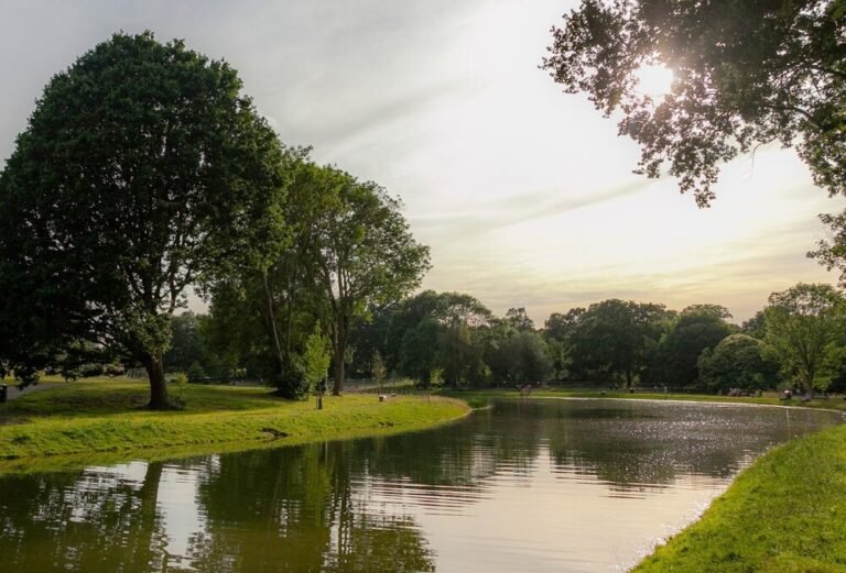 Swim at Beckenham Place Park 768x521