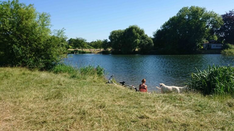 Swim at Chertsey Meads 768x432