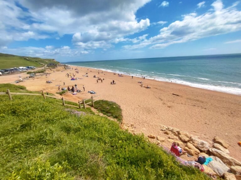 Swim at Hive Beach 1 768x576