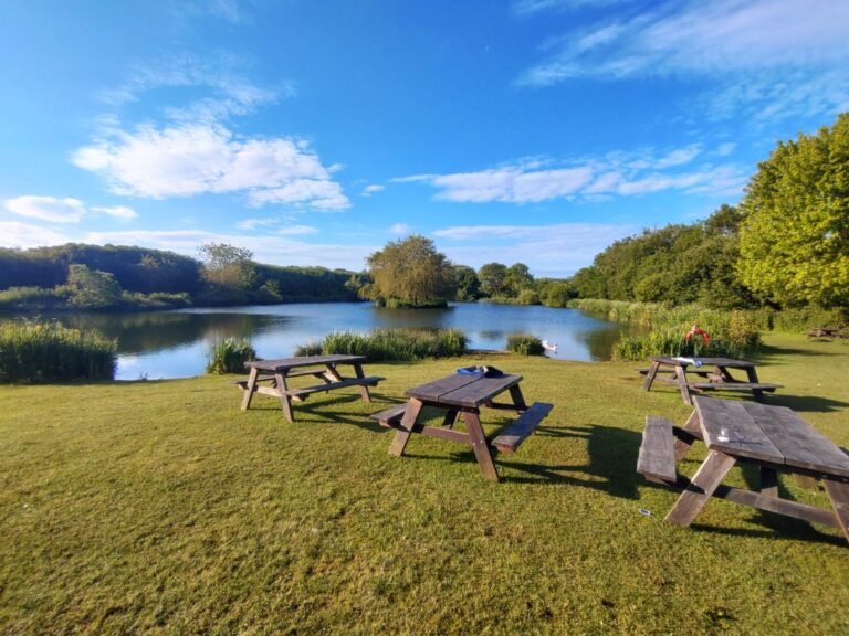 Swim at Litton Lakes 1 768x576