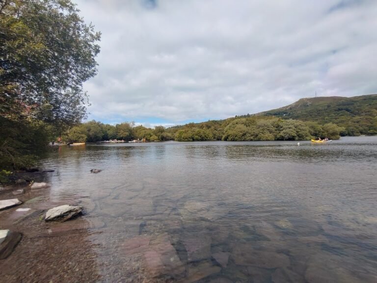 Swim at Llyn Padarn South Shore 1 768x576