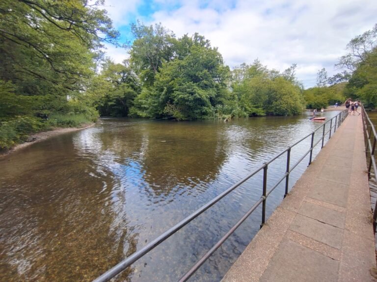 Swim at Moreton Ford 1 768x576