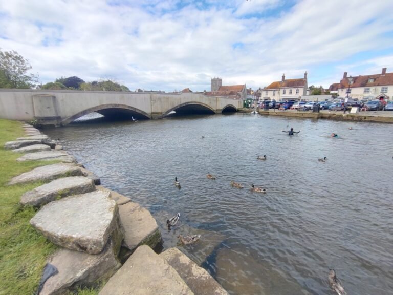 Swim in the River Frome from Wareham 1 768x576