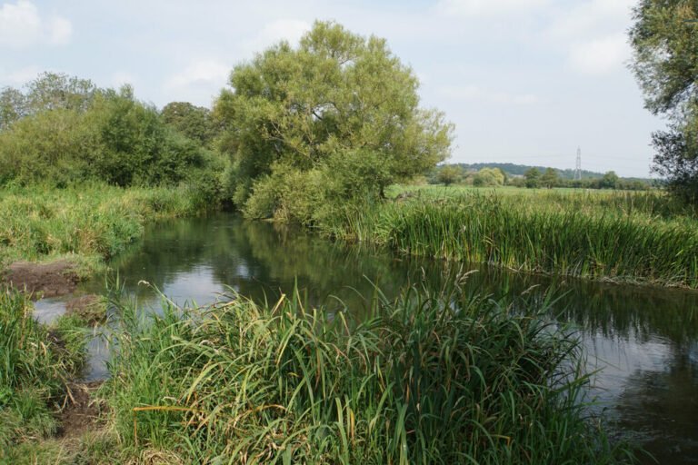 Swim in the River Itchen at Eastleighs Bill Boaden Geograph 768x512