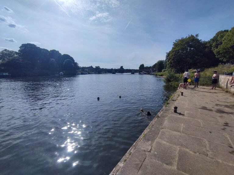 Swim the Thames from Hampton Court 1 768x576