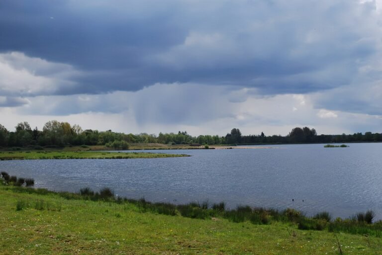Walk at Blashford Lakes Nature Reserve 768x513