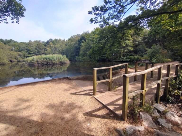 Walk at Lightwater Country Park 1 768x576