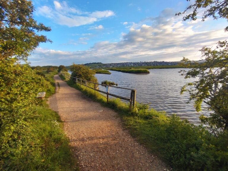 Walk at Lodmoor Country Park and Saltmarsh 1 768x576