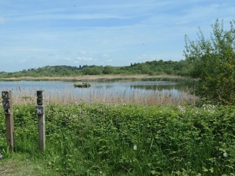 Walk at Middleton Lakes Geogrpah Christine Johnstone 768x577