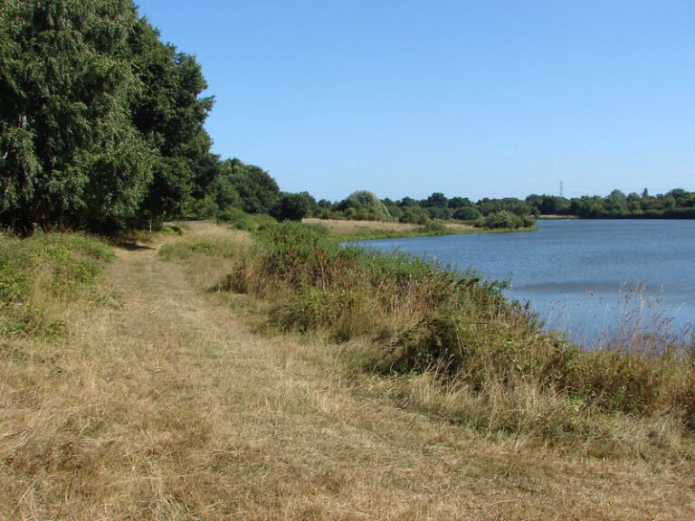 Walk at Moor Green Lakes Nature Reserve 768x576