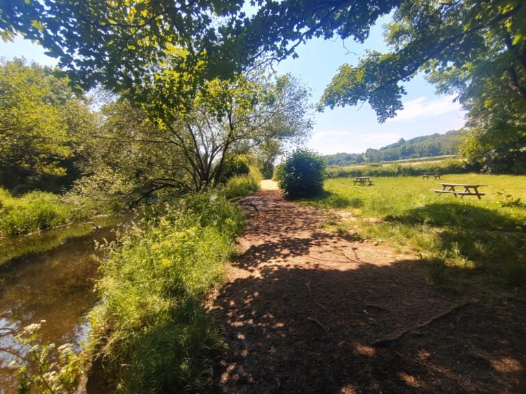 Walk at Norbury Park 1 scaled 768x576