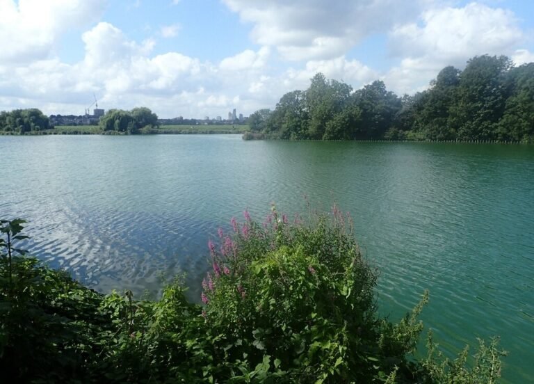 Walk at Walthamstow Wetlands Geograph Marathon 768x552
