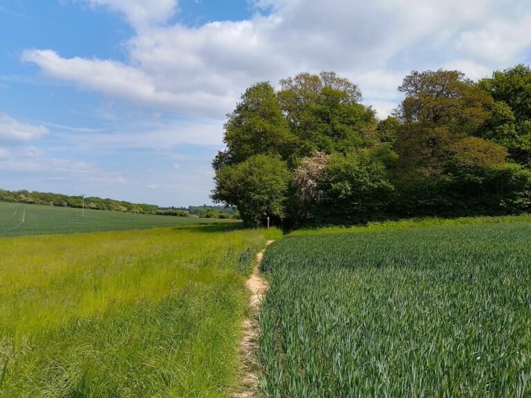 Walk from Abbotstone Down Geograph 768x576