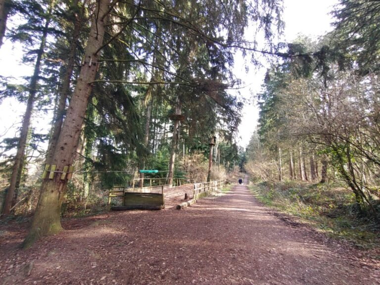 Walk from Itchen Valley Country Park 1 768x576