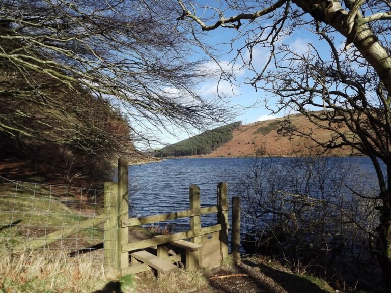 Walk from Lake Geirionydd Geograph I love Colour 768x576