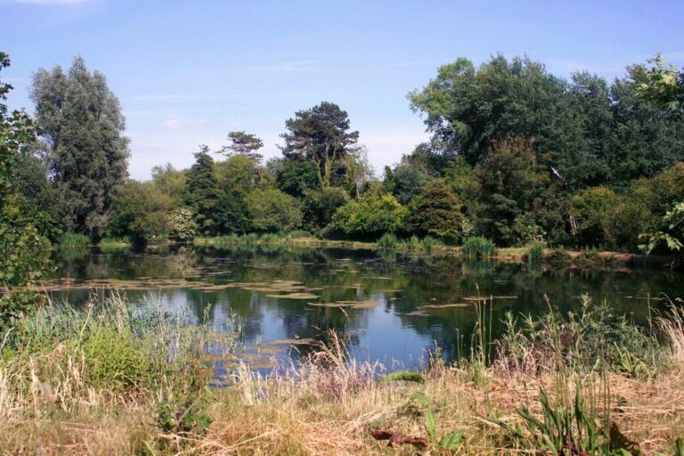 Walk from New Alresford Geograph  768x512