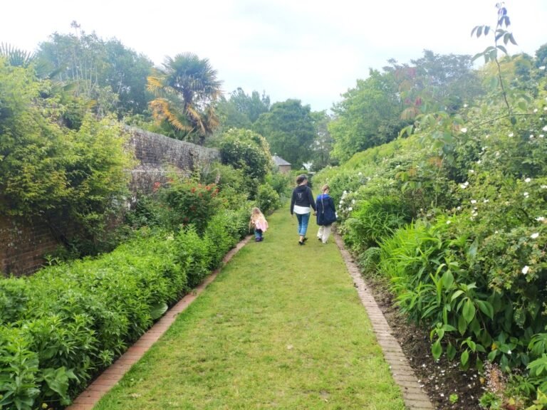 Walk from Upton Country Park 1 768x576