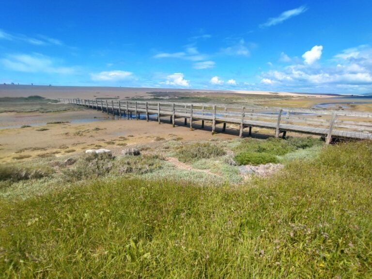 Walk from the Wild Chesil Centre 1 768x576