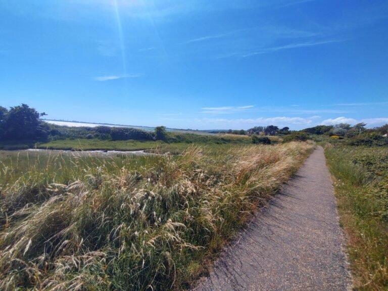 Walk on the Solent Way from Langstone 1 768x576
